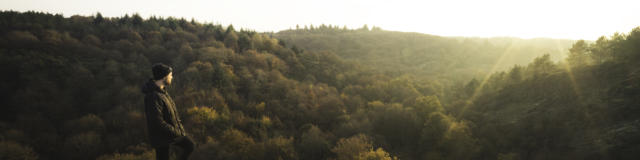 Foret de Brocéliande, Herbst-Winter