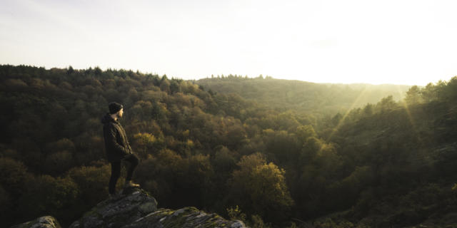 Foret de Brocéliande, automne-hiver