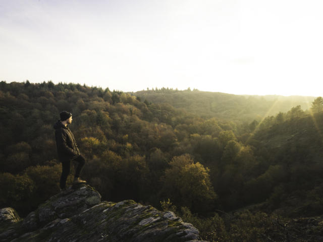 Foret de Brocéliande, automne-hiver