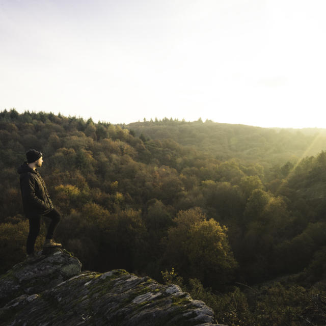 Foresta di Brocéliande, autunno-inverno