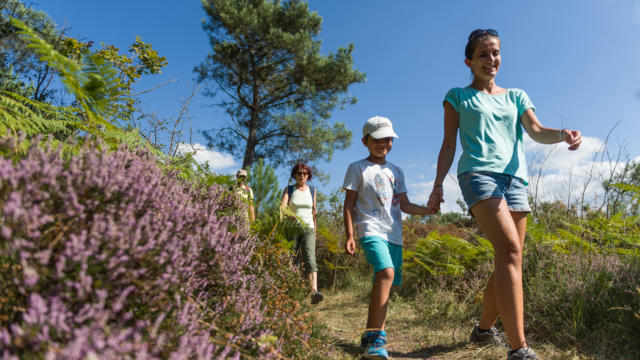 Wanderung zum See von Trémelin und Wolfszimmer