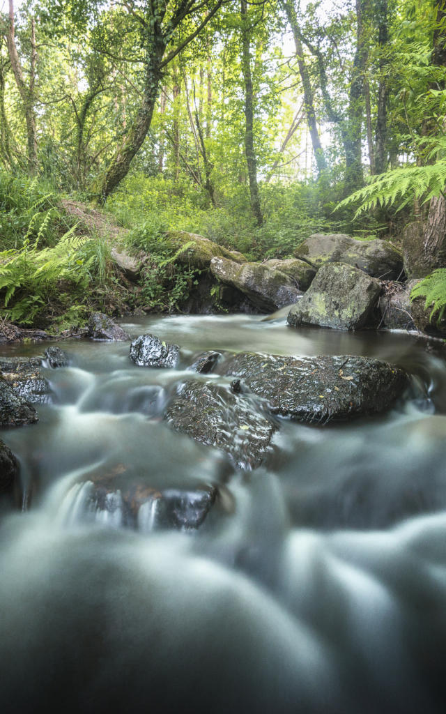 Ruisseau Brocéliande