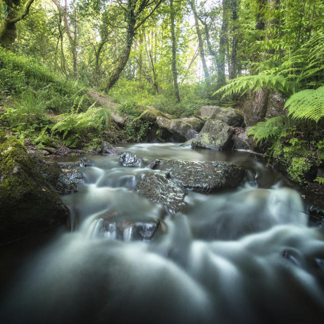 Ruisseau Brocéliande