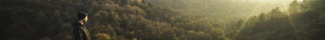 Foresta di Brocéliande, autunno-inverno