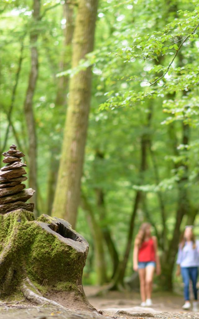 Balade contée en Forêt de Brocéliande