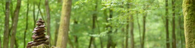 Verhalenwandeling in het bos van Brocéliande