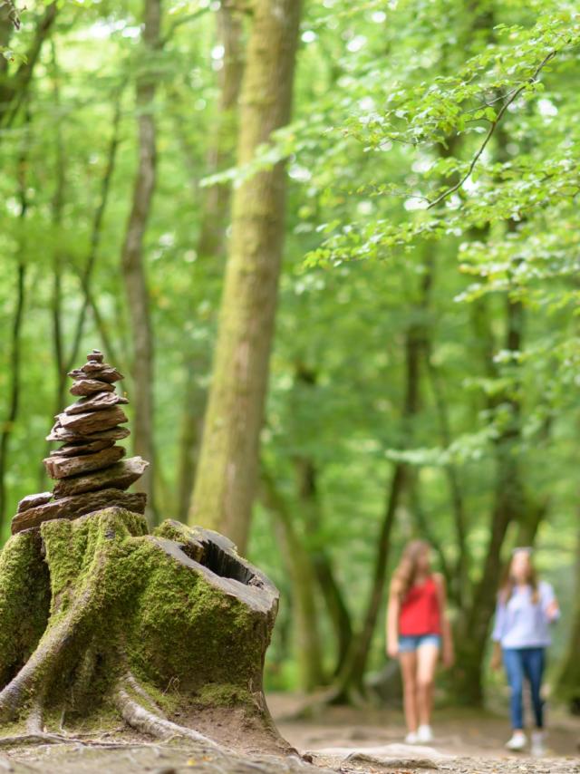 Märchenhafter Spaziergang im Wald von Brocéliande