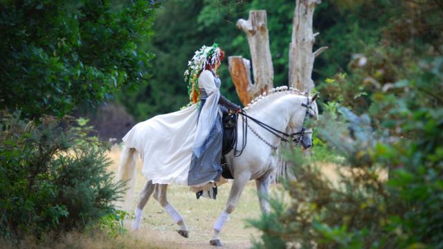 Feerie Broceliande Gattuso