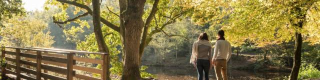 France, Morbihan (56), Tréhorenteuc, la Val sans Retour