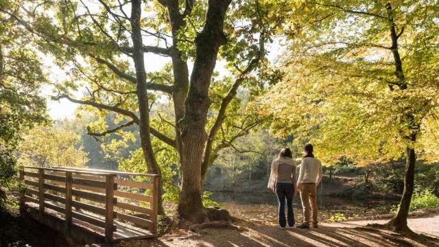 Frankreich, Morbihan (56), Tréhorenteuc, la Val sans Retour (Tal ohne Wiederkehr)