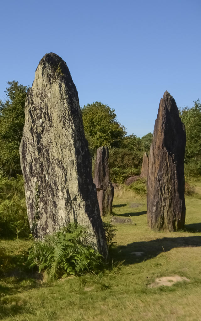 Les megalithes de Montheneuf