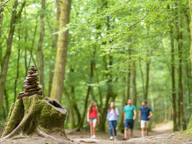 Balade contée en Forêt de Brocéliande