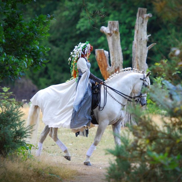 Feerie Broceliande Gattuso