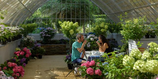 Le parc des Hortensias du Haut Bois, Ploermel