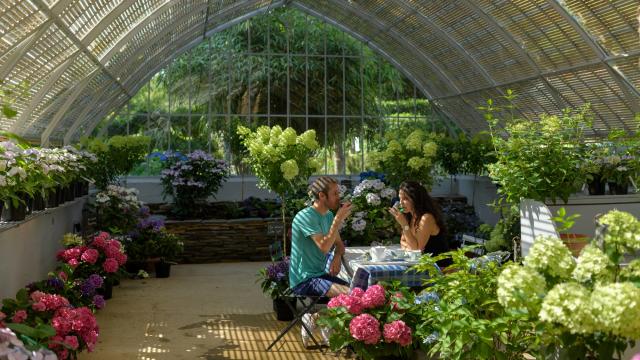 Hortensias du Haut Bois park, Ploermel