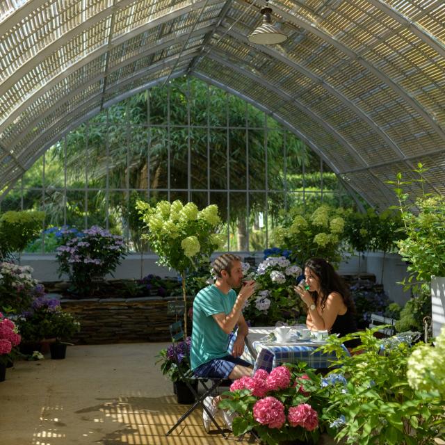 Le parc des Hortensias du Haut Bois, Ploermel