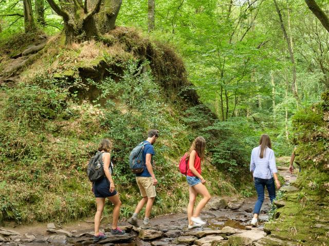 Randonnée en forêt de Brocéliande