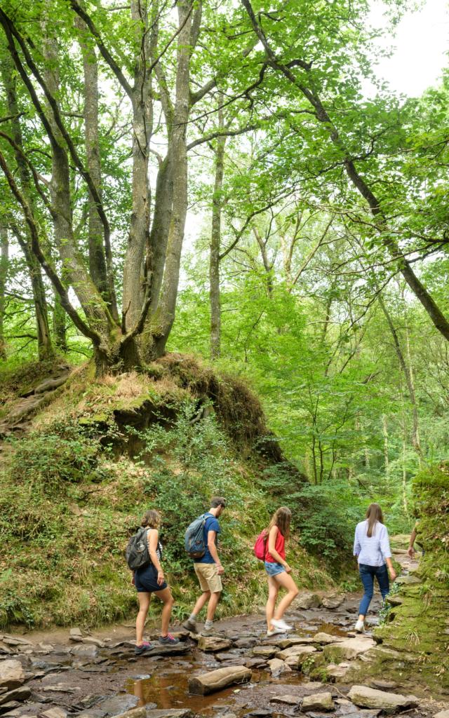 Randonnée en forêt de Brocéliande