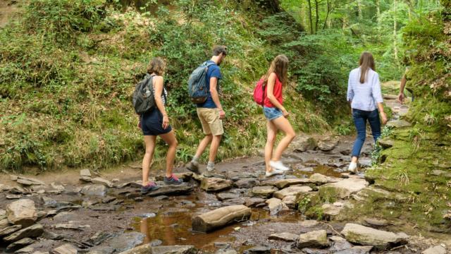 Randonnée en forêt de Brocéliande