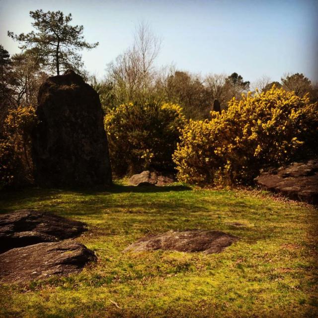 Instagram #broceliande