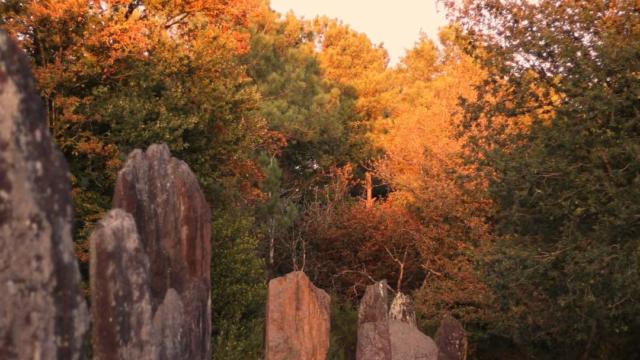 Menhir di Monteneuf