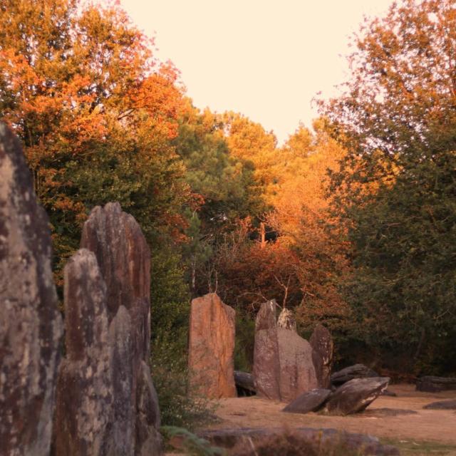 Menhirs de Monteneuf