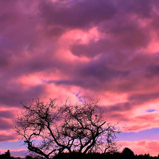 Ciel rose à Lizio