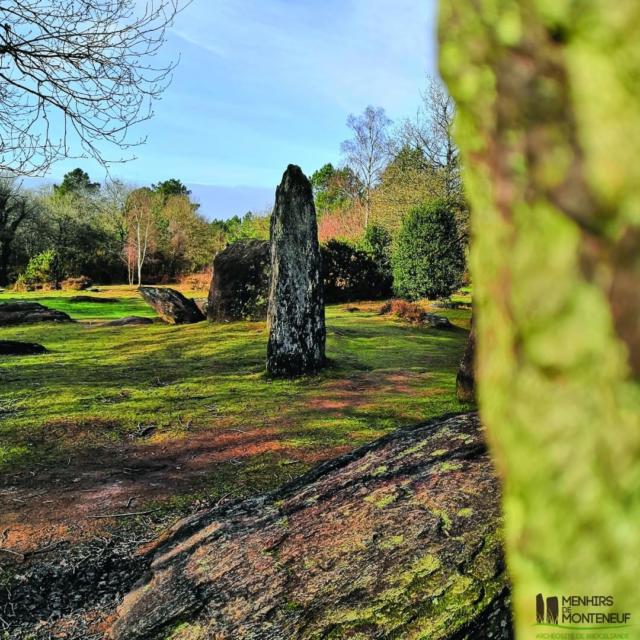 Menhirs de Monteneuf