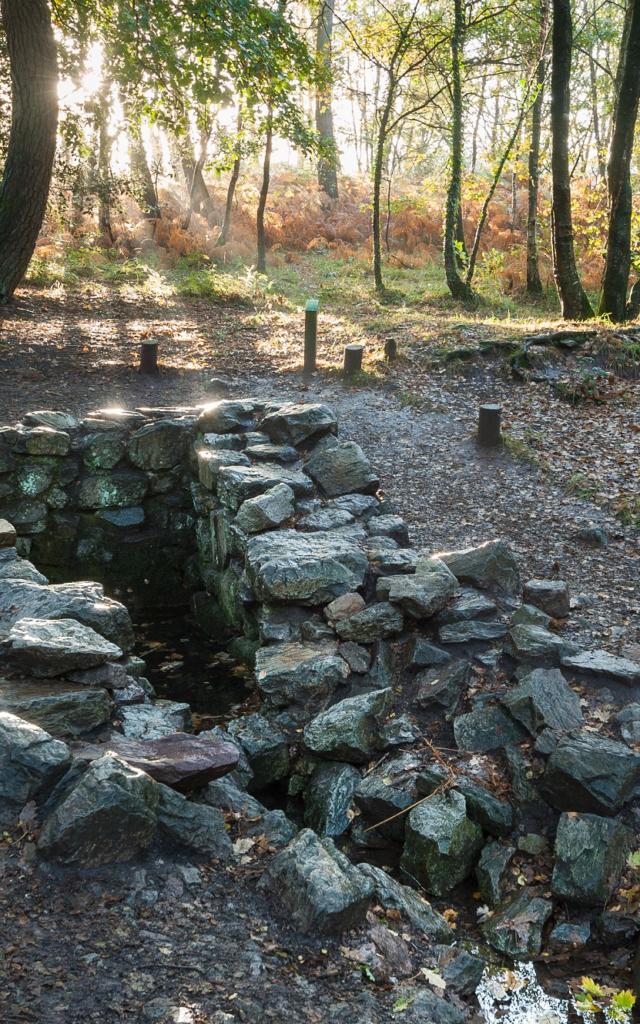 Paimpont, der Brunnen von Barenton im Wald von Broceliande.