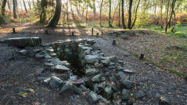 Paimpont, la fontaine de Barenton dans la foret de Broceliande.