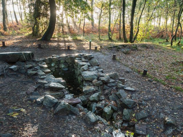 Paimpont, la fontaine de Barenton dans la foret de Broceliande.