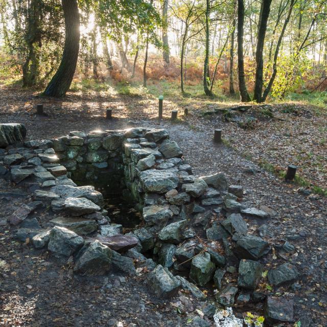 Paimpont, la fuente de Barenton en el bosque de Broceliande.