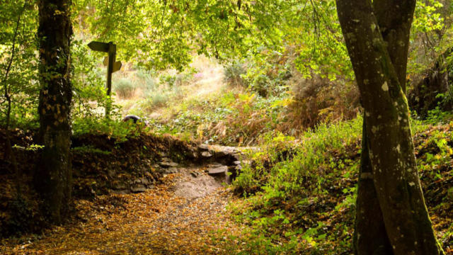 Brocéliande foresta autunno, Val senza ritorno