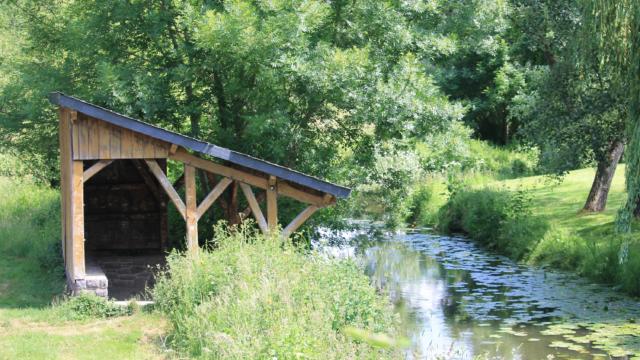 Etang De La Cane - Montfort