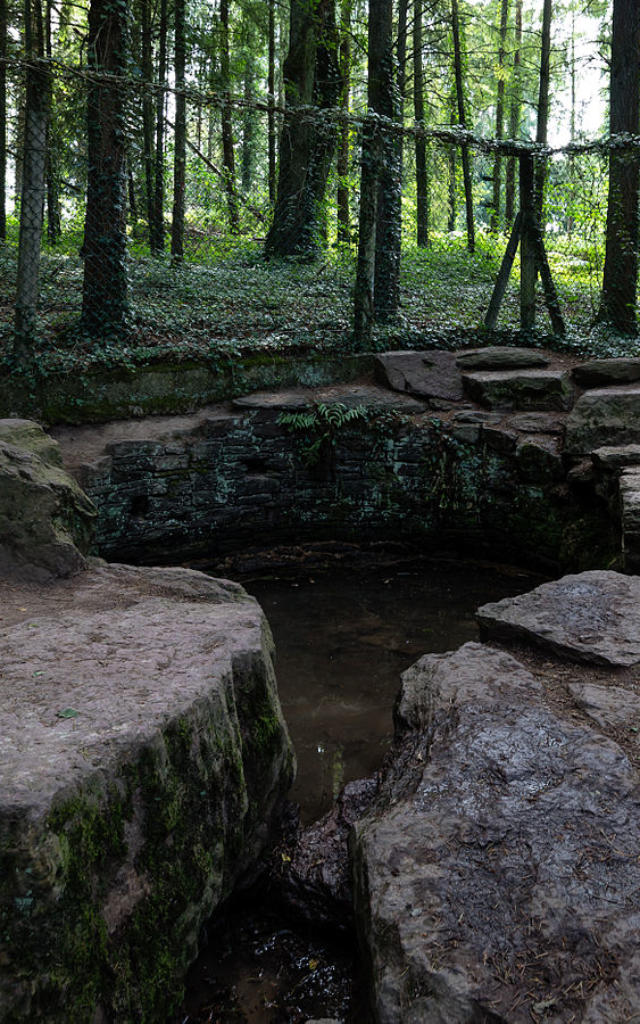 Jungbrunnen in Brocéliande