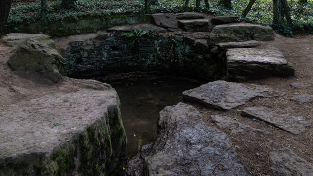 Fontaine De Jouvence en Brocéliande