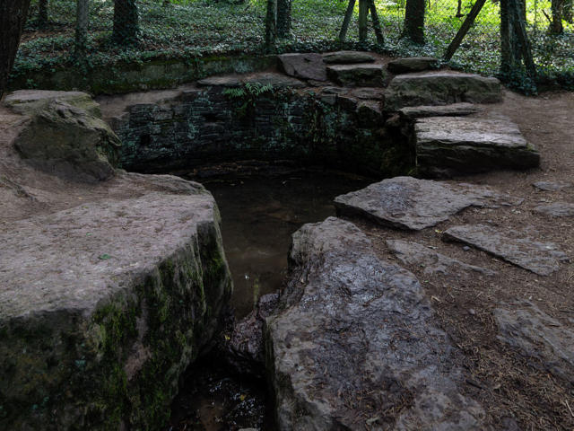 Jungbrunnen in Brocéliande