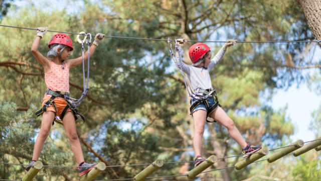 Arrampicata sugli alberi a Iffendic