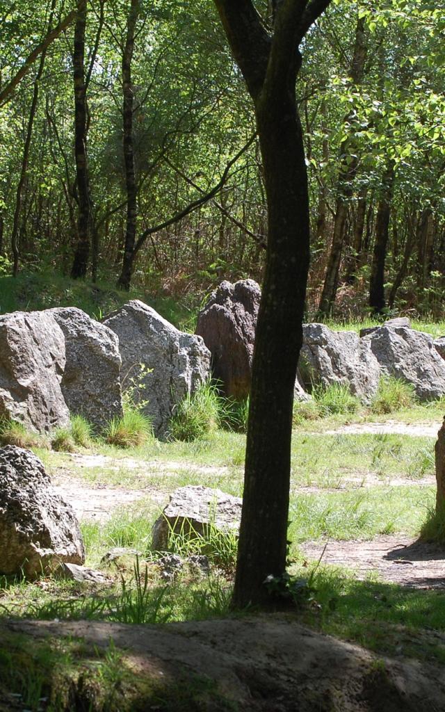 jardin aux moines megalithische Stätte im Wald von Brocéliande