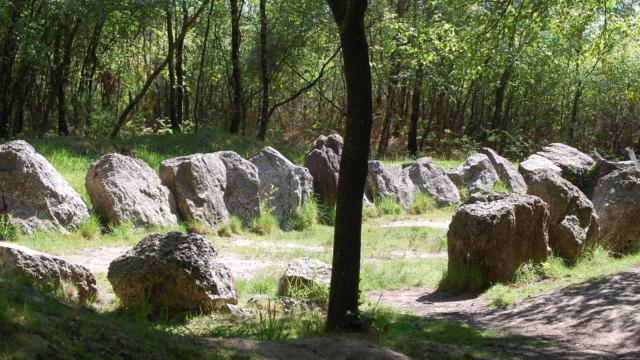 jardin aux moines site mégalithique en forêt de Brocéliande