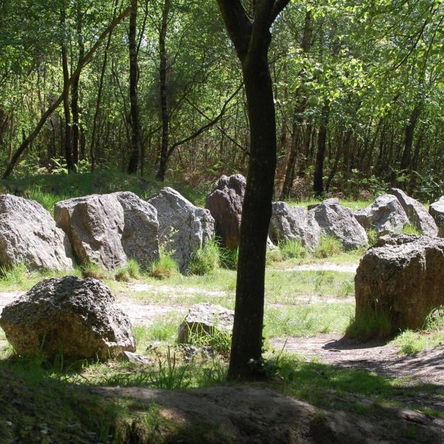 jardin aux moines megalithische Stätte im Wald von Brocéliande