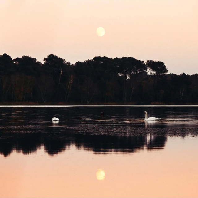 Lac De Trémelin