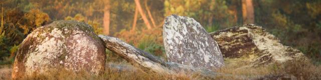 Menhirs De Monteneuf