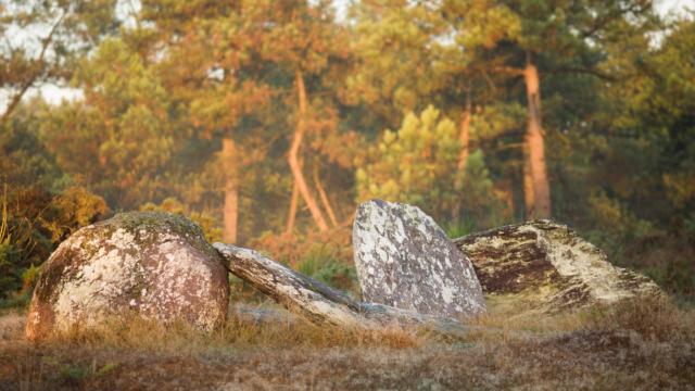 Menhirs De Monteneuf