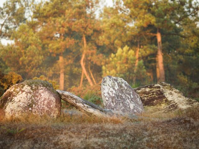 Menhirs De Monteneuf