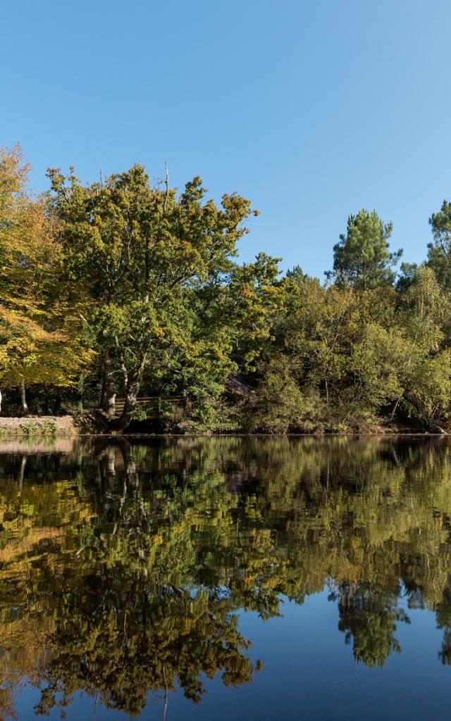 Spaziergang durch das Tal ohne Wiederkehr und Entdeckung des Feenspiegels