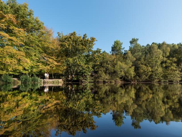 balade dans le val sans retour et découverte du miroir aux fées