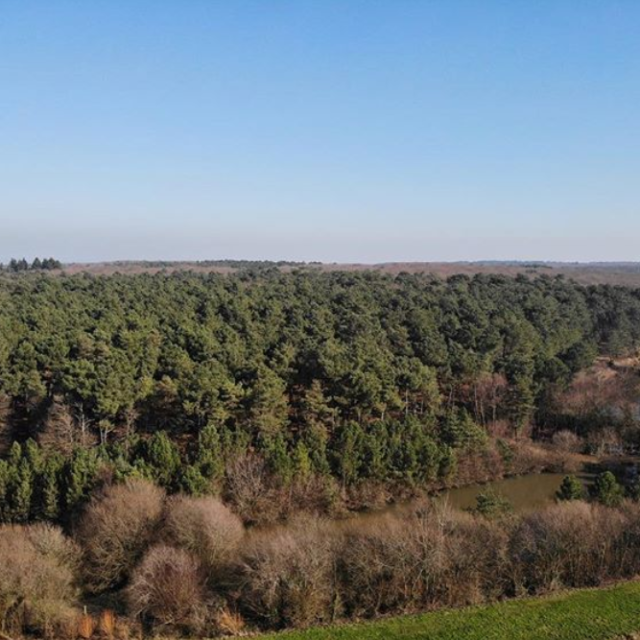 Montfort Sur Meu - forêt