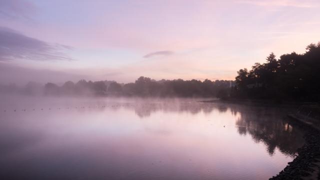 Paesaggio del Lac au Duc all'alba a Ploërmel