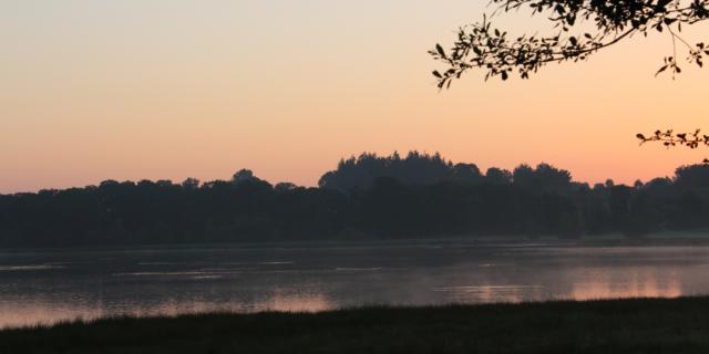 Réserve Ornithologique De Careil - foto bij zonsopgang met een roze lucht